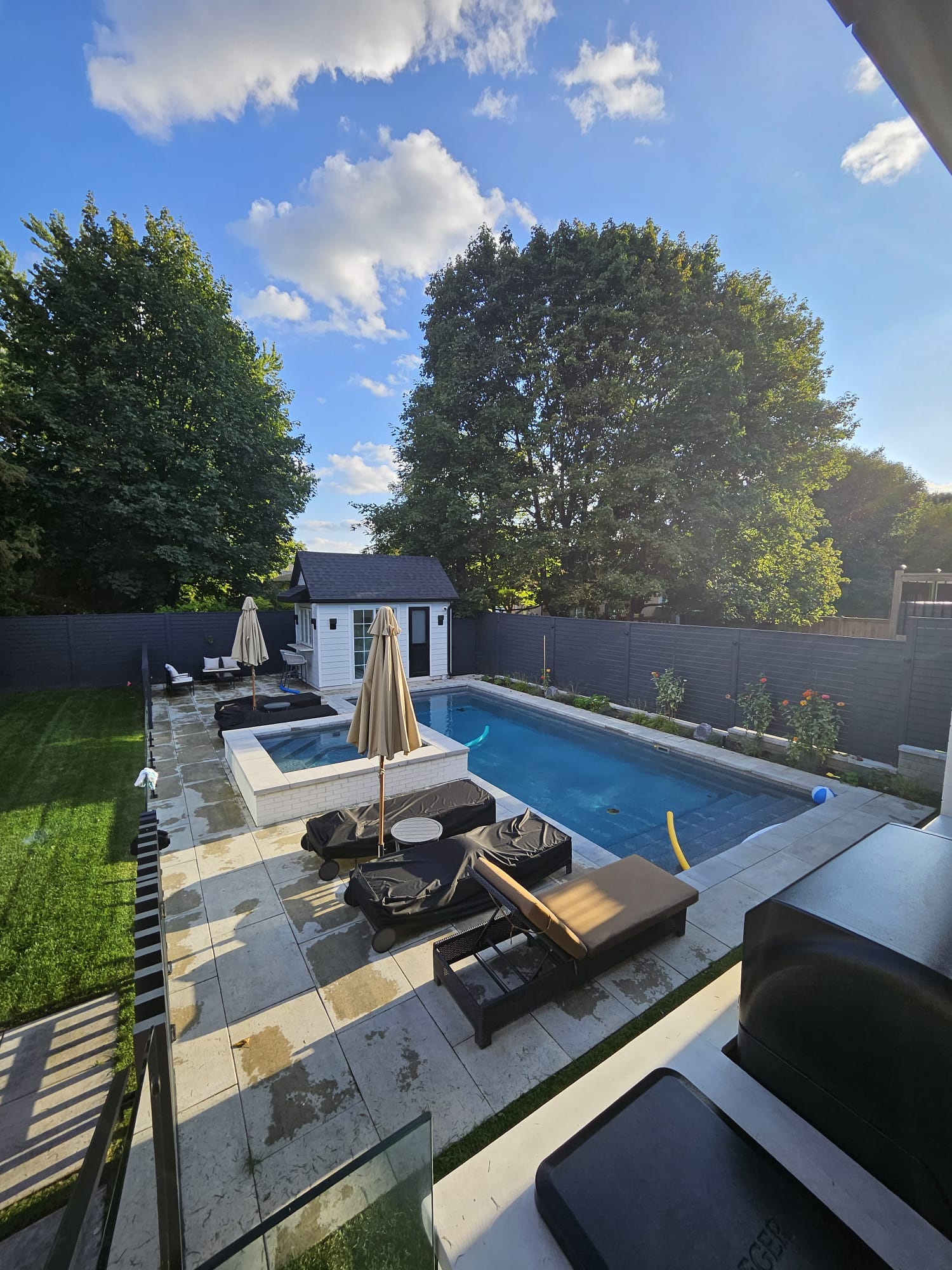 Residential renovation — modern backyard with pool