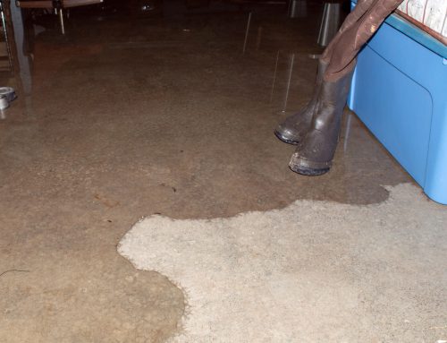 How am I getting water in my basement when my cement walks aren’t cracked?